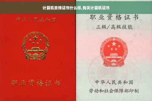 计算机资格证书什么样,有关计算机证书