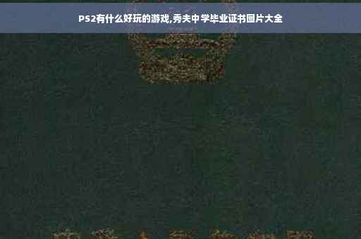 PS2有什么好玩的游戏,秀夫中学毕业证书图片大全
