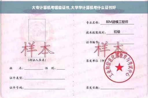 大专计算机考哪些证书,大学学计算机考什么证书好