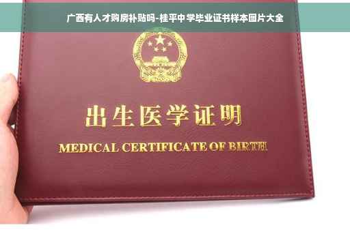 广西有人才购房补贴吗-桂平中学毕业证书样本图片大全