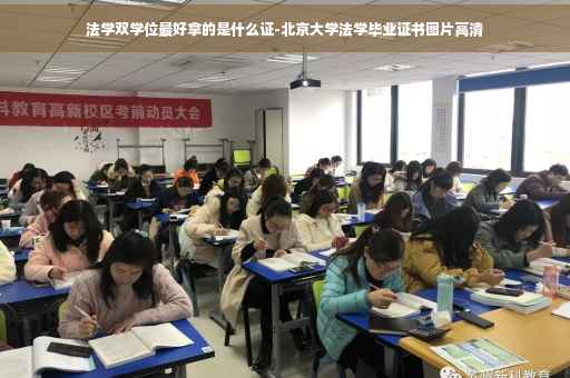 法学双学位最好拿的是什么证-北京大学法学毕业证书图片高清