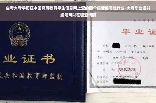 自考大专学历在中国高等教育学生信息网上查的那个报告编号是什么-大专毕业证书编号可以在哪查询到