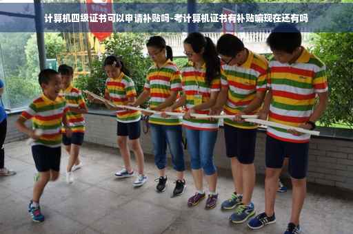 计算机四级证书可以申请补贴吗-考计算机证书有补贴嘛现在还有吗