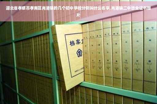 湖北省孝感市孝南区肖港镇的几个初中学校分别叫什么名字,肖港镇二中毕业证书图片