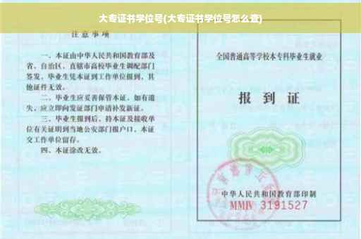 大专证书学位号(大专证书学位号怎么查)