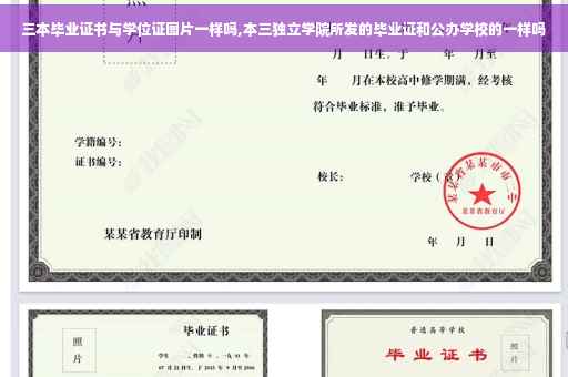 三本毕业证书与学位证图片一样吗,本三独立学院所发的毕业证和公办学校的一样吗