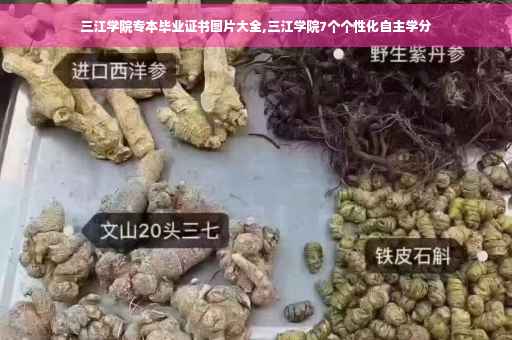 三江学院专本毕业证书图片大全,三江学院7个个性化自主学分