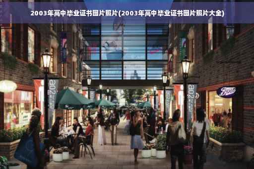 2003年高中毕业证书图片照片(2003年高中毕业证书图片照片大全)