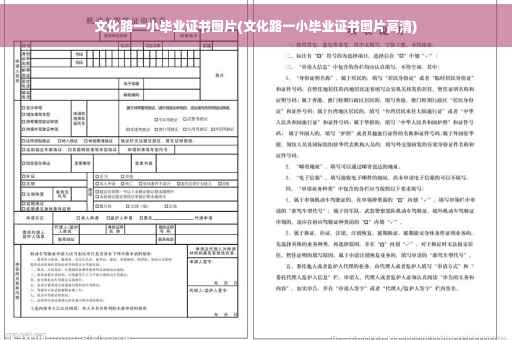 文化路一小毕业证书图片(文化路一小毕业证书图片高清)