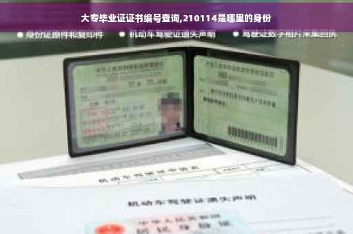 大专毕业证证书编号查询,210114是哪里的身份