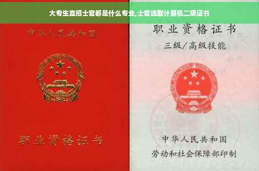 大专生直招士官都是什么专业,士官选取计算机二级证书 大专生直招士官都是什么专业,士官选取计算机二级证书