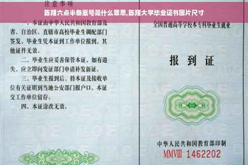 陈翔六点半备案号是什么意思,陈翔大学毕业证书图片尺寸