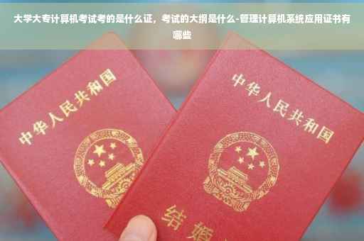 大学大专计算机考试考的是什么证，考试的大纲是什么-管理计算机系统应用证书有哪些