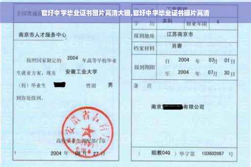 官圩中学毕业证书图片高清大图,官圩中学毕业证书图片高清