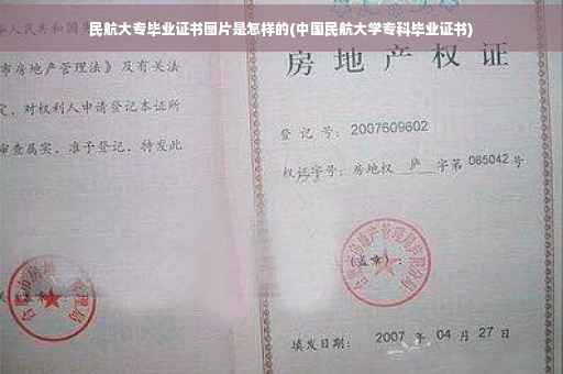 民航大专毕业证书图片是怎样的(中国民航大学专科毕业证书)