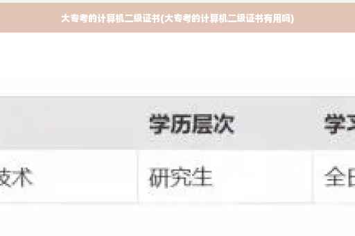 大专考的计算机二级证书(大专考的计算机二级证书有用吗)