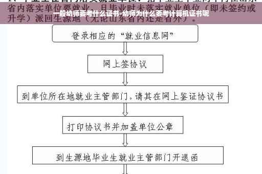 一般幼师要考什么证书-幼师为什么要考计算机证书呢