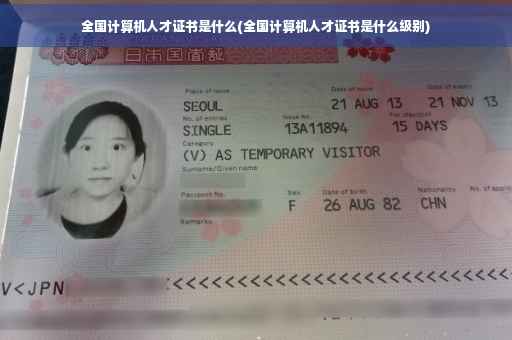 全国计算机人才证书是什么(全国计算机人才证书是什么级别)