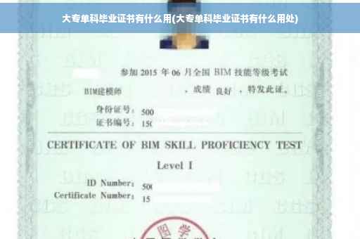大专单科毕业证书有什么用(大专单科毕业证书有什么用处)
