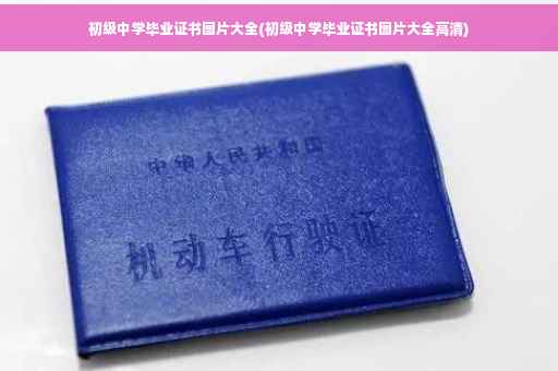 初级中学毕业证书图片大全(初级中学毕业证书图片大全高清)