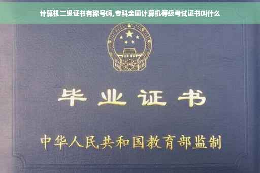 计算机二级证书有称号吗,专科全国计算机等级考试证书叫什么