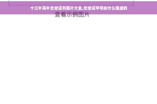 十三中高中毕业证书图片大全,毕业证学号由什么组成的