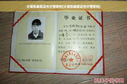 计算机编程证书分等级吗(计算机编程证书分等级吗)