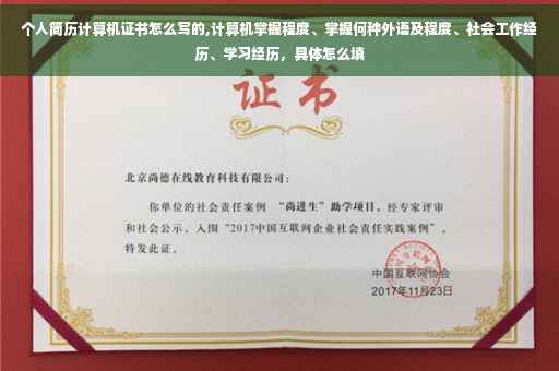 个人简历计算机证书怎么写的,计算机掌握程度、掌握何种外语及程度、社会工作经历、学习经历，具体怎么填