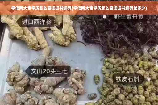 学信网大专学历怎么查询证书编码(学信网大专学历怎么查询证书编码是多少)