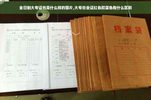 全日制大专证书是什么样的图片,大专毕业证红色和蓝色有什么区别