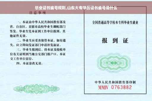 毕业证书编号规则,山东大专学历证书编号是什么