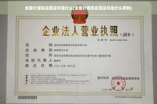 全国计算机应用证书是什么(全国计算机应用证书是什么级别)
