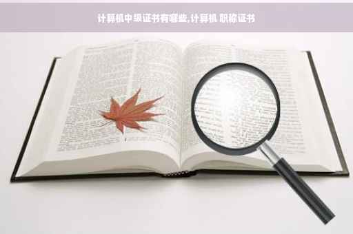 计算机中级证书有哪些,计算机 职称证书
