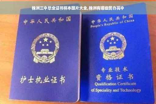 株洲三中毕业证书样本图片大全,株洲有哪些民办高中