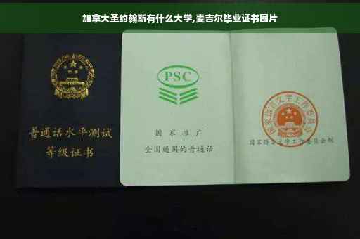 加拿大圣约翰斯有什么大学,麦吉尔毕业证书图片