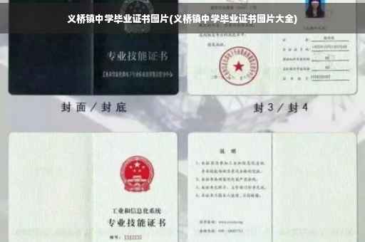 义桥镇中学毕业证书图片(义桥镇中学毕业证书图片大全)