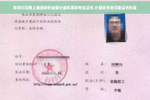 怎样打印网上查找到的全国计算机等级考试证书,计算机专业可取证书名称