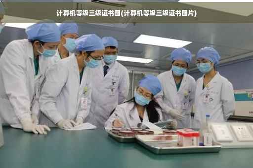 计算机等级三级证书图(计算机等级三级证书图片)