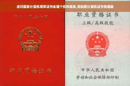 求问国家计算机等级证书由哪个机构颁发,劳动局计算机证书有哪些