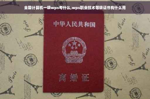 全国计算机一级wps考什么,wps职业技术等级证书有什么用