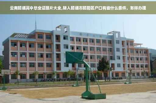 云南昭通高中毕业证图片大全,转入昭通市昭阳区户口有些什么条件，怎样办理