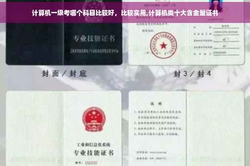 计算机一级考哪个科目比较好，比较实用,计算机类十大含金量证书