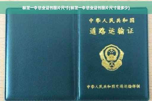 林芝一中毕业证书图片尺寸(林芝一中毕业证书图片尺寸是多少)