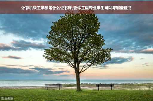 计算机软工学硕考什么证书好,软件工程专业学生可以考哪些证书