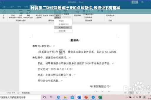 计算机二级证是哪些行业的必须条件,数控证书有那些