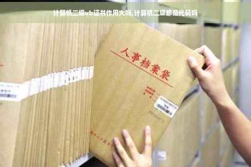 计算机二级vb证书作用大吗,计算机二级都是代码吗
