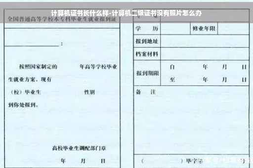 计算机证书长什么样-计算机二级证书没有照片怎么办