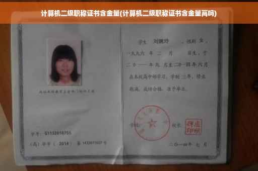 计算机二级职称证书含金量(计算机二级职称证书含金量高吗)