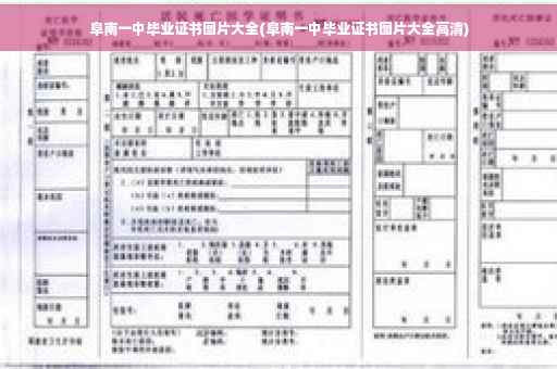 阜南一中毕业证书图片大全(阜南一中毕业证书图片大全高清)