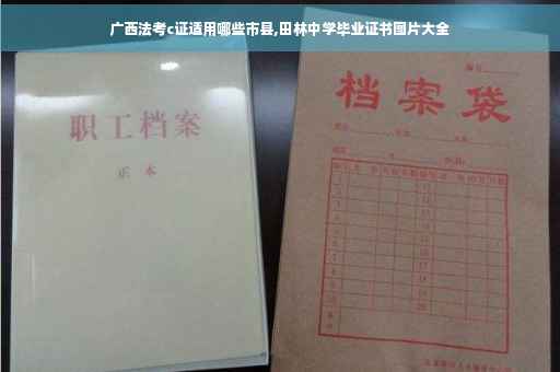 广西法考c证适用哪些市县,田林中学毕业证书图片大全